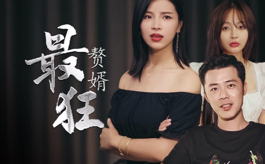 最狂赘婿全集