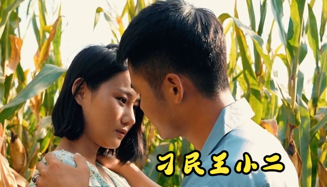 刁民王小二全集