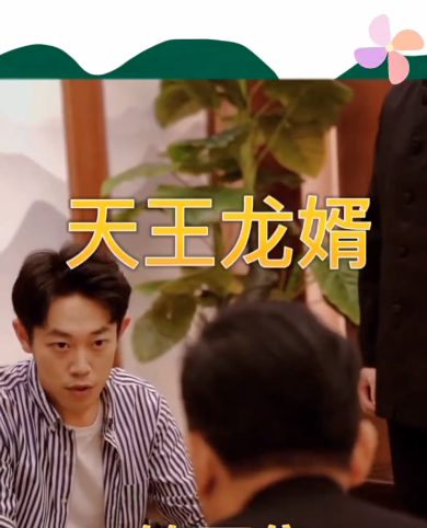 天王龙婿全集