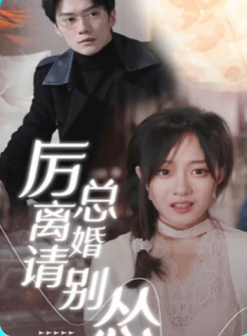 厉总离婚请别怂全集