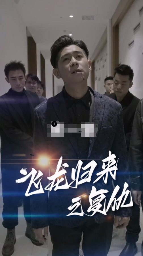飞龙归来全集