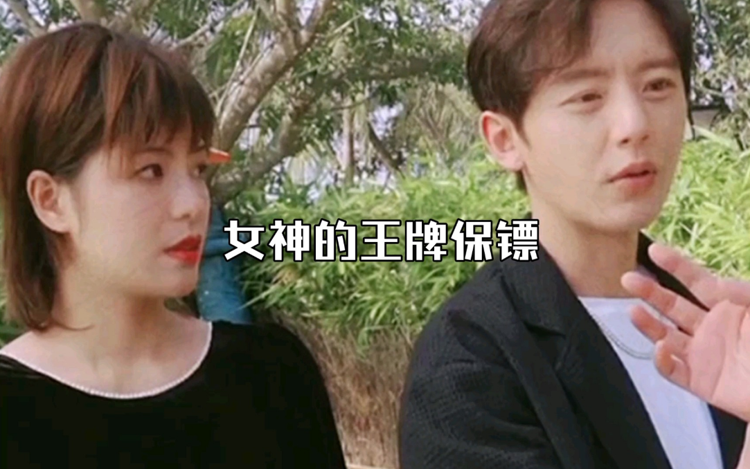 女神的王牌保镖全集