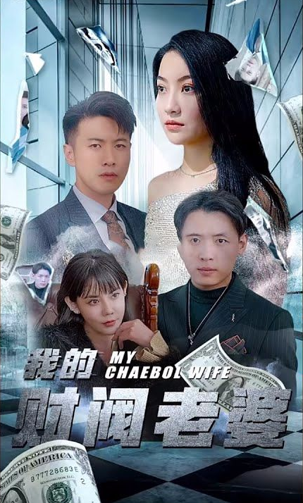 我的财阀老婆全集