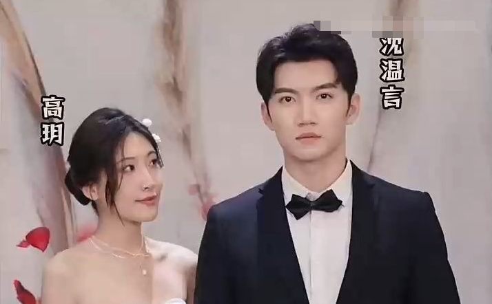 离婚后，沈总满世界追妻全集