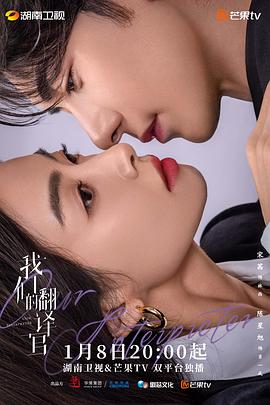 我们的翻译官全集