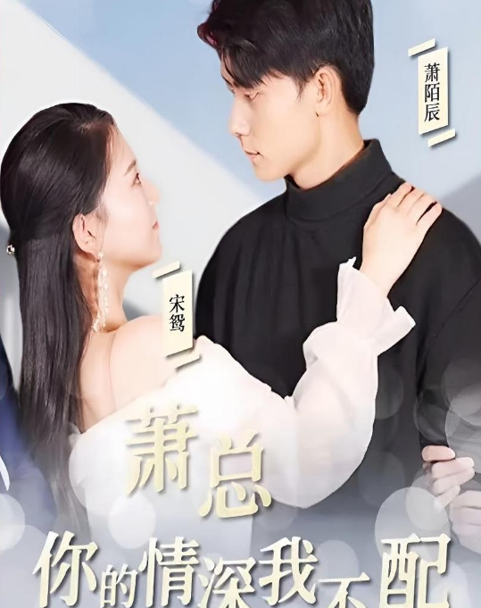 萧总，你的情深我不配全集