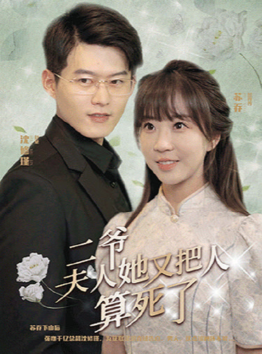 二爷，夫人她又把人算死了全集