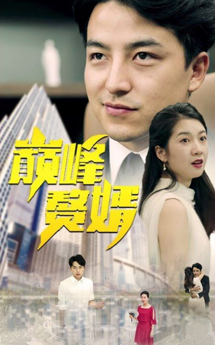 巅峰赘婿全集