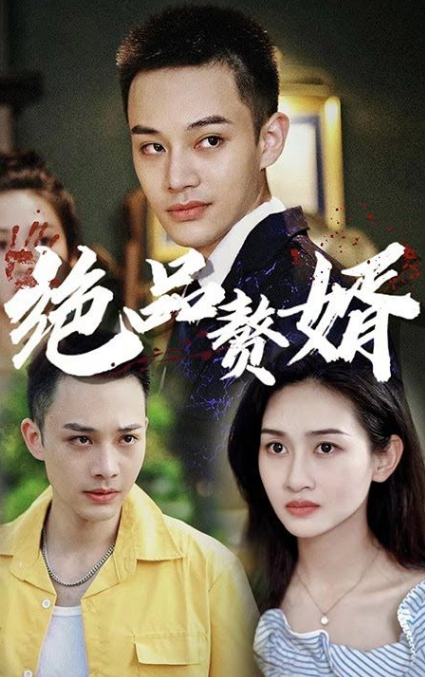 绝品赘婿全集