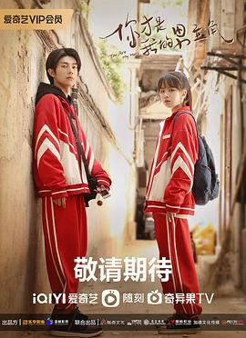 奔赴星辰的我们全集