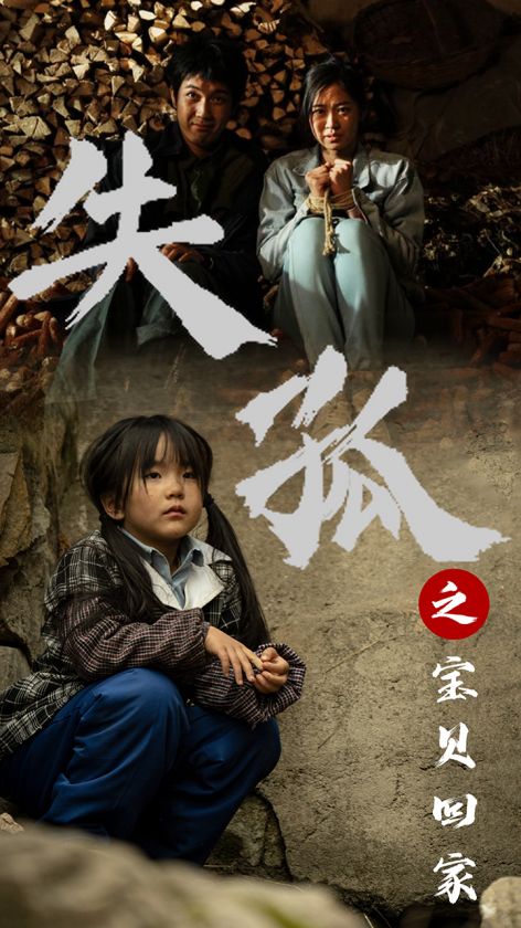 失孤之宝贝回家全集