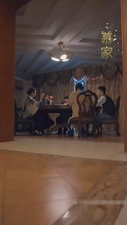 我成了段总的腹黑女保镖全集