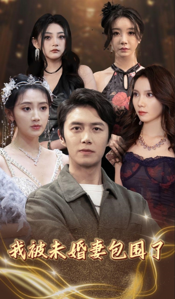 我被未婚妻包围了全集