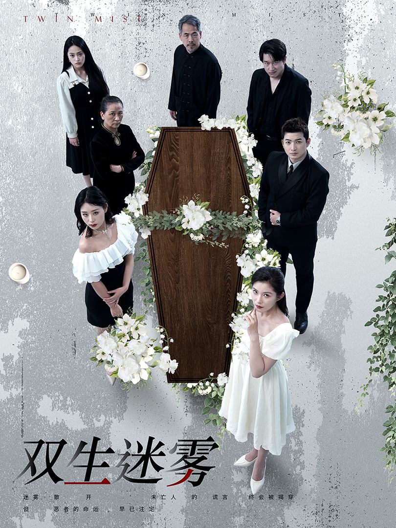 双生迷雾全集