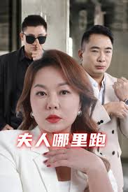 夫人哪里跑全集