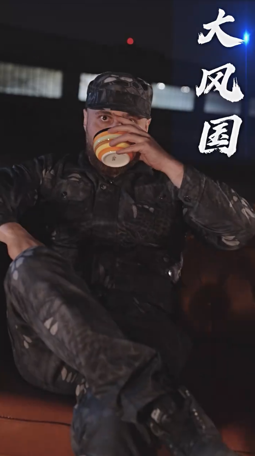 新版：镇国龙帅全集