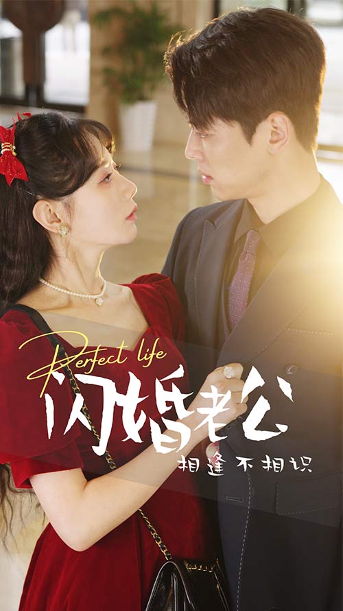 闪婚老公相逢不相识全集