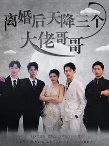 离婚后天降三个大佬哥哥全集