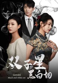 双子星黑白切全集