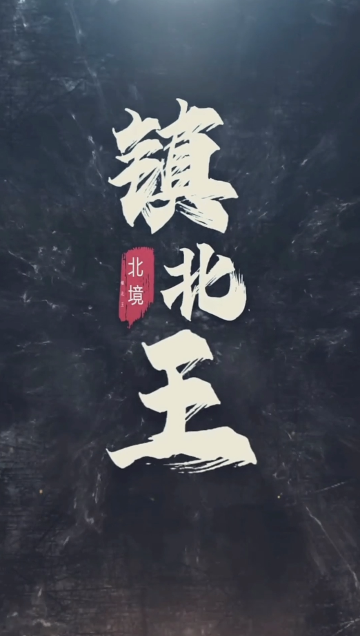 王行天下全集