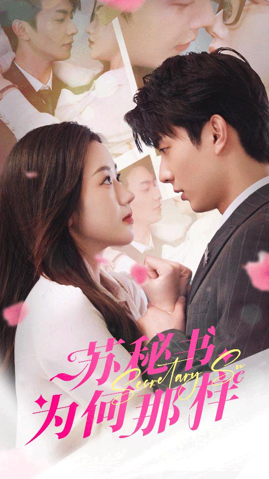 苏秘书为何那样全集