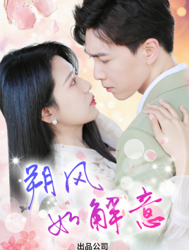 朔风有解意全集