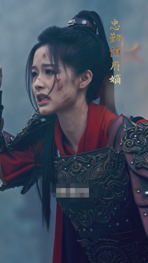 将军夫人不好惹全集