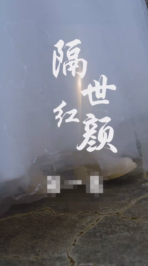 隔世红颜全集