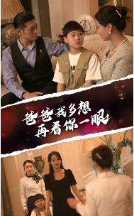 爸爸我多想再看你一眼全集