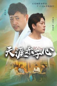 天涯赤子心短剧全集