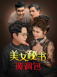 美女秘书被调包全集