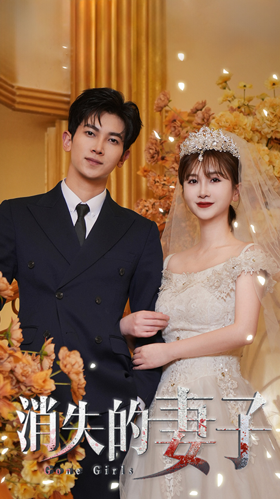 新：消失的妻子全集