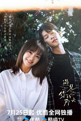 遇见你的那天全集