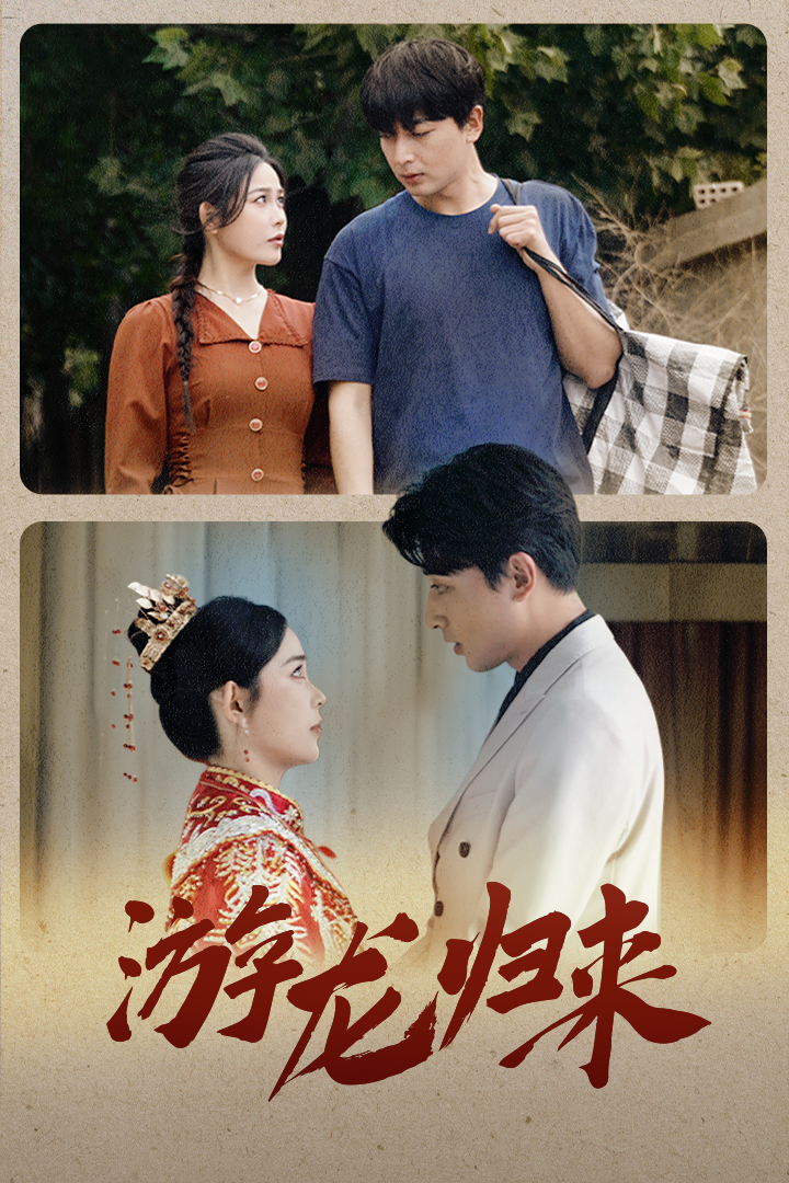 游龙归来全集