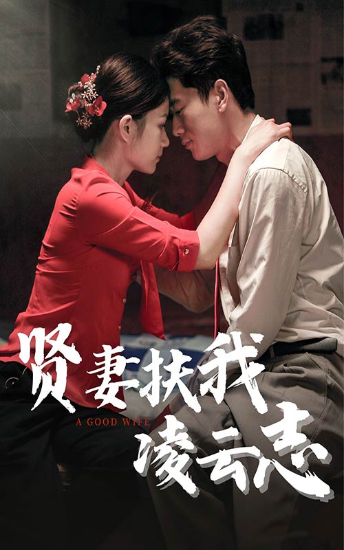 贤妻扶我凌云志全集