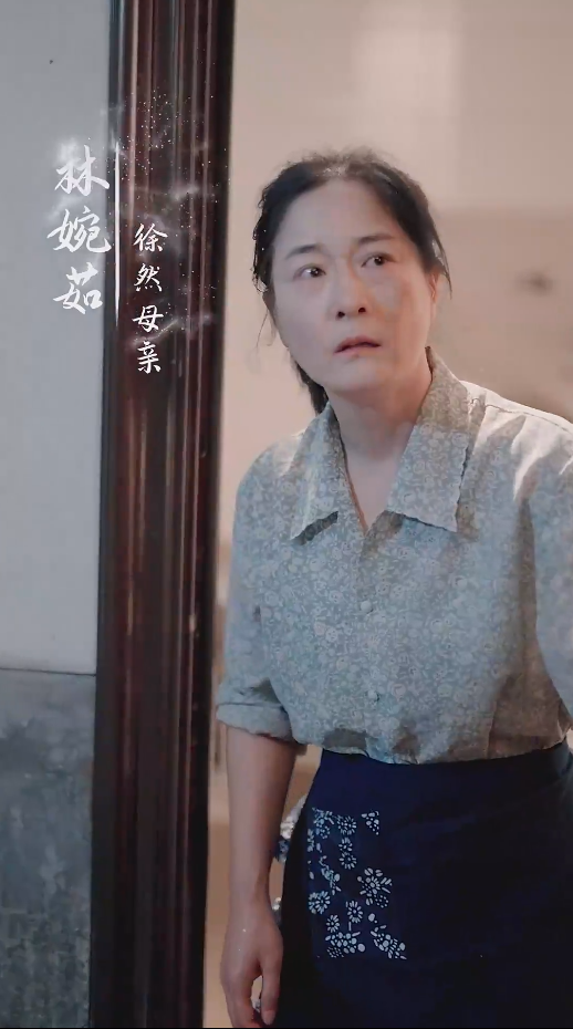 谁怜天下慈母心短剧全集