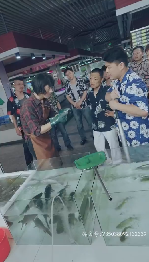 最新版：护国神帅全集