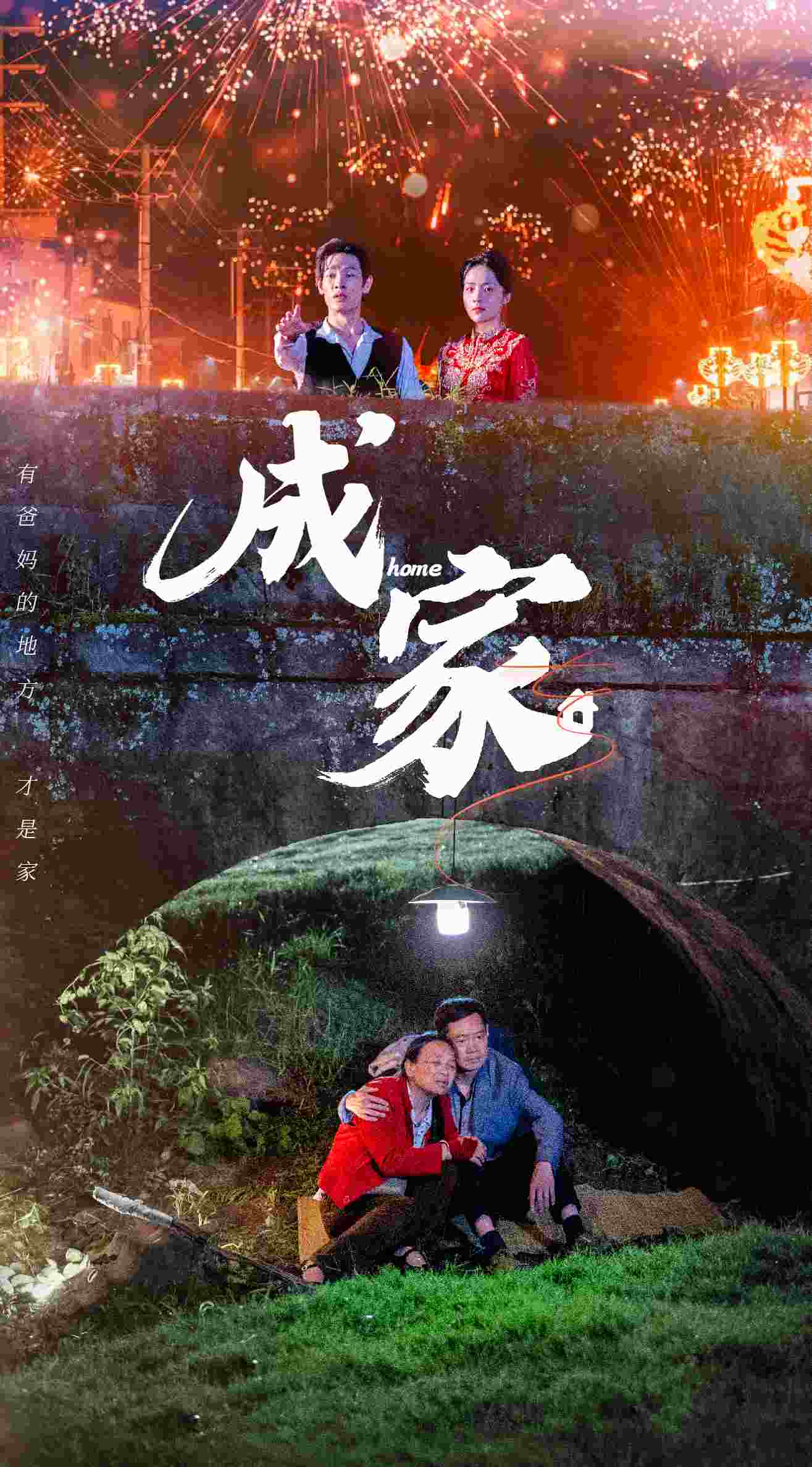 成家全集