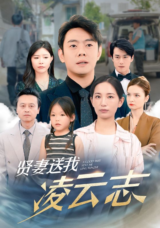 贤妻送我凌云志全集