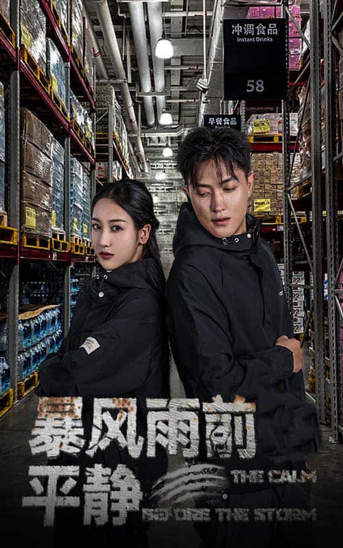 暴风雨前的平静全集