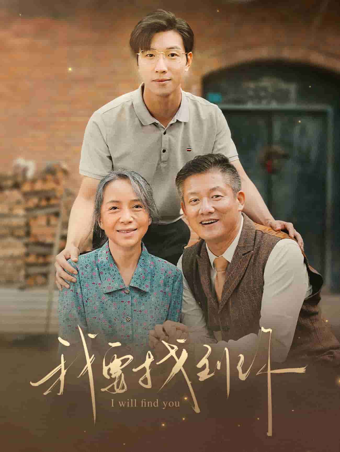 我要找到你全集