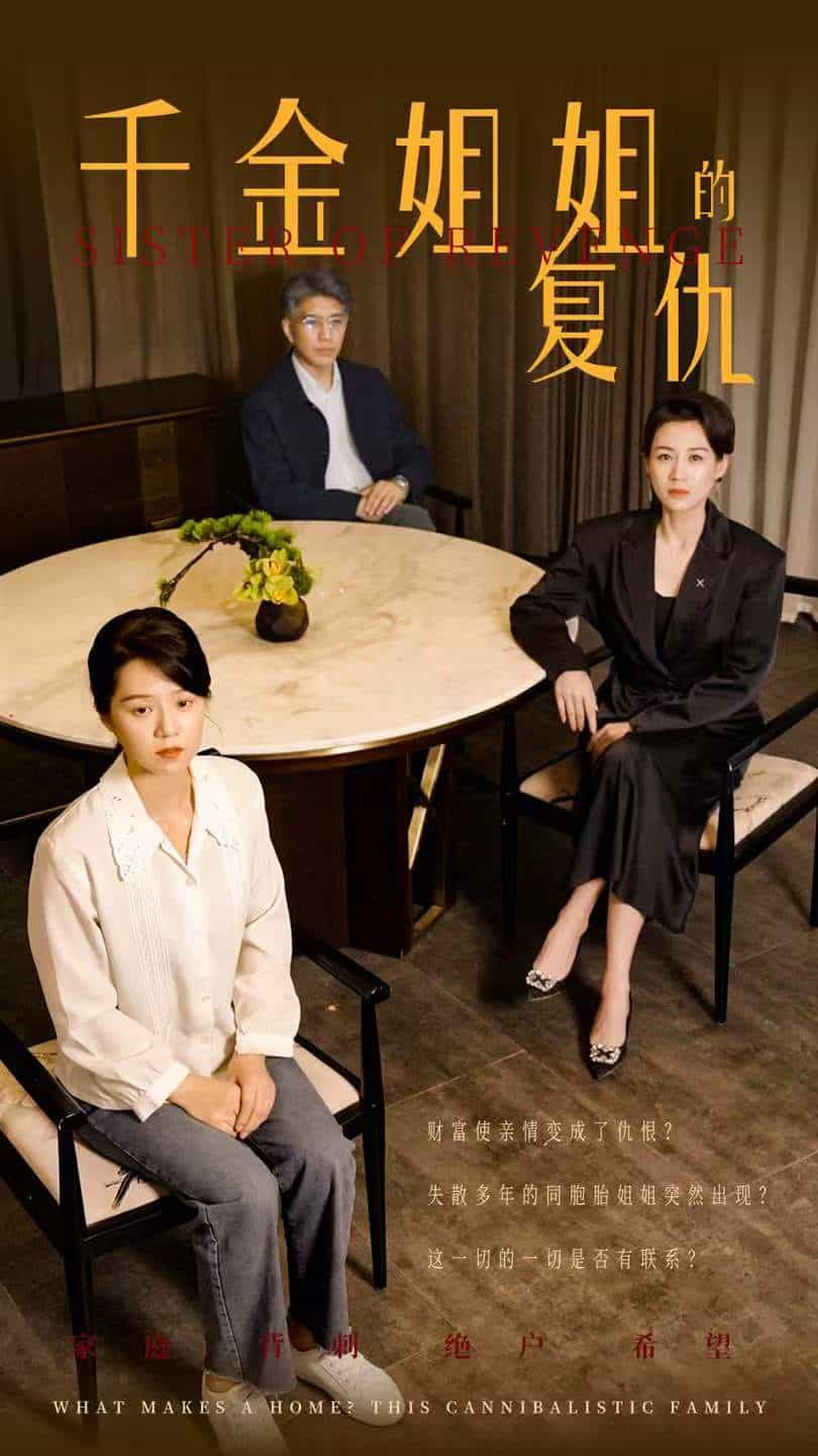 千金姐姐的复仇全集