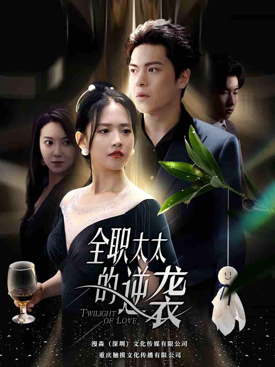 全职太太的逆袭全集