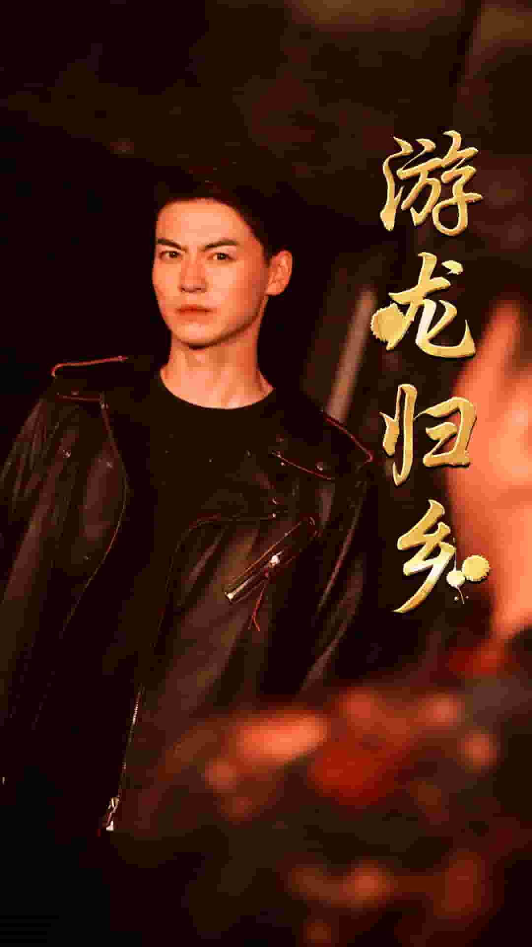 游龙归乡全集