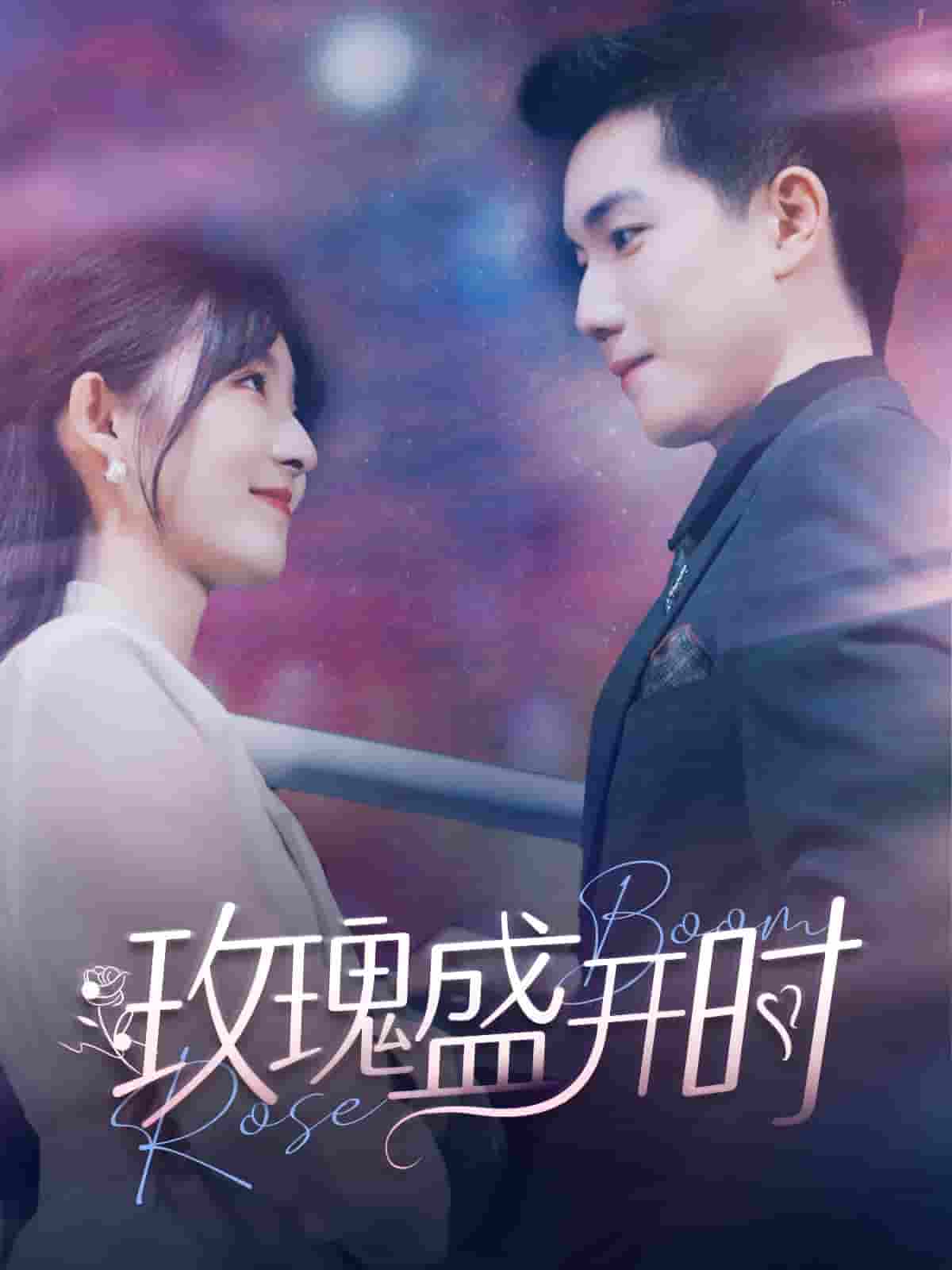 玫瑰盛开时全集