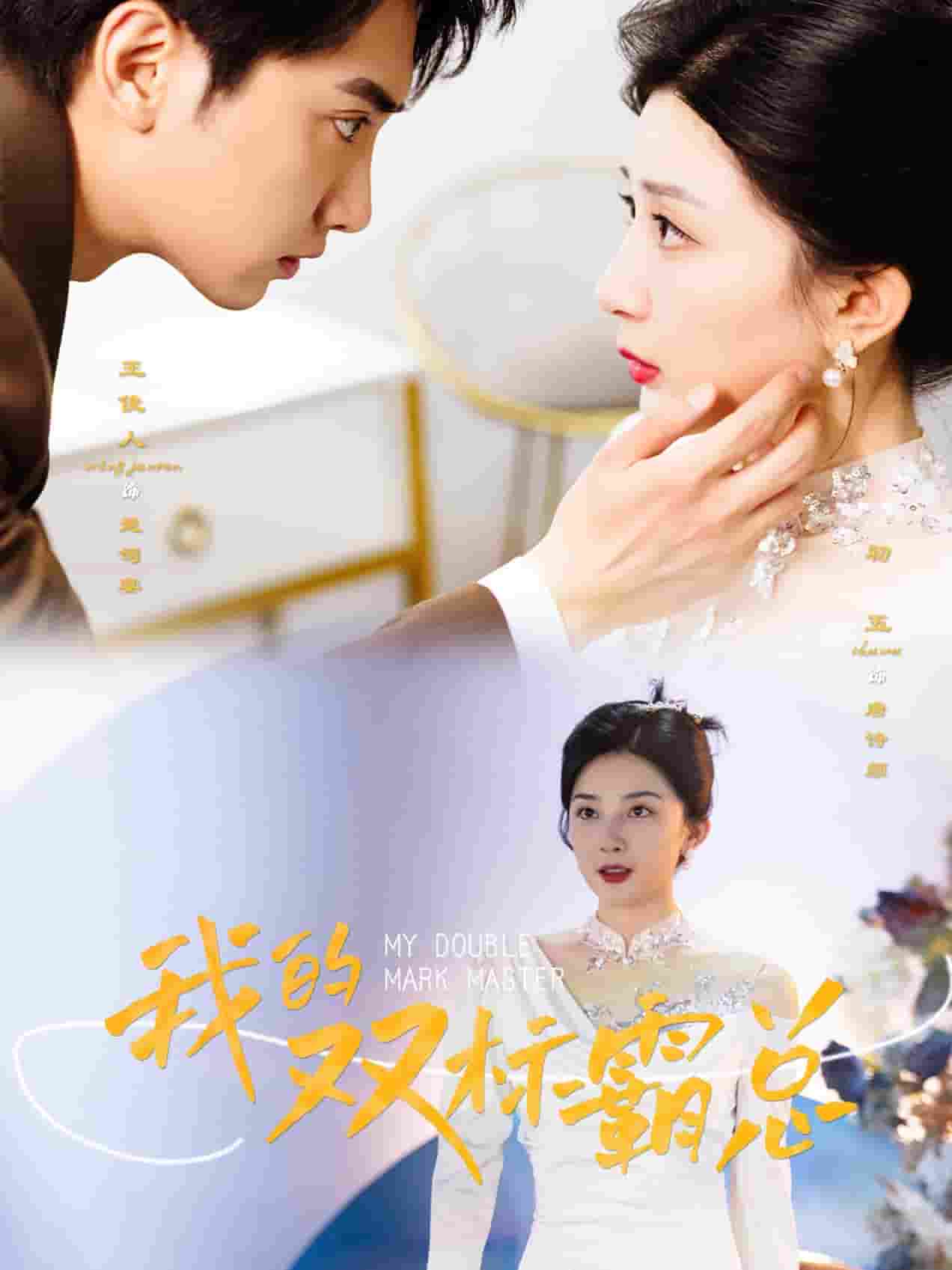 我的双标霸总全集