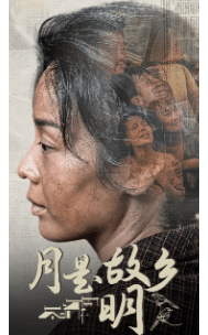 月是故乡明短剧全集