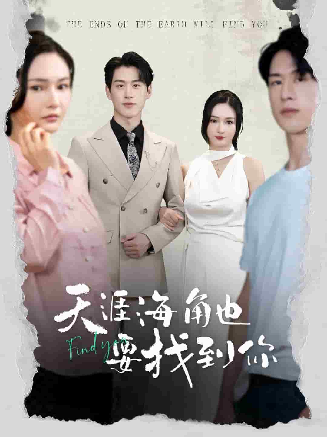 天涯海角也要找到你全集