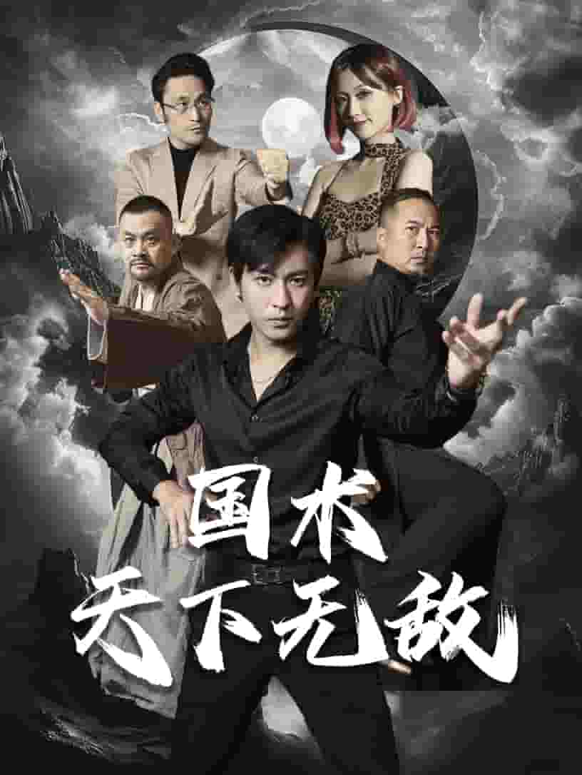 国术天下无敌全集