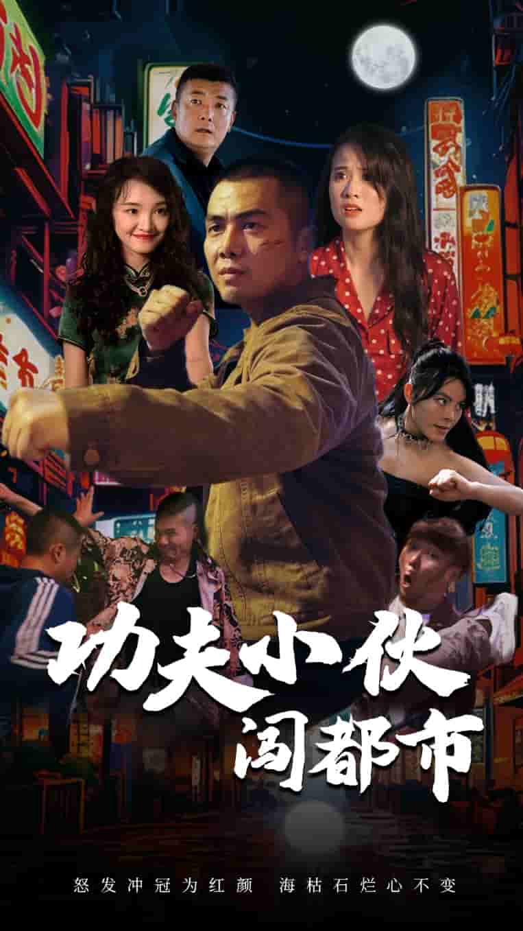 功夫小伙闯都市全集